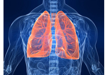 Respiratory failure. Causes, symptoms, signs, diagnosis and treatment of pathology